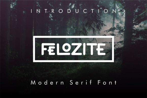 Felozite: A Modern Font with Romantic Charm