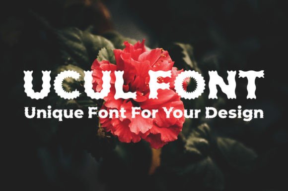 Ucul: A Quirky Display Font for Modern Web Design